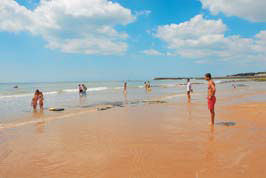 Les Ecureuils Jard sur mer