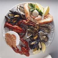 Fruits de mer Brittany cuisine